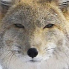 寝起き