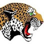 DQ Leopards Athletics Live Stream logo