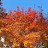 @김햇살-c6w