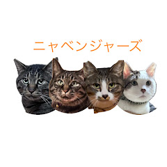 うちのニャベンジャーズ