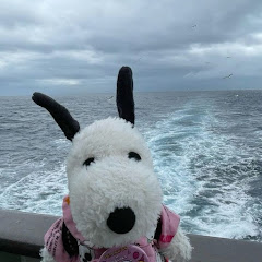 itz_BXRRIGLOE net worth