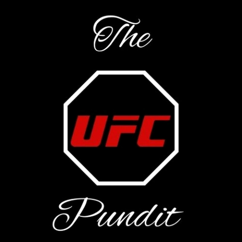 The UFC Pundit