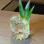Just Have a Drink Avatar