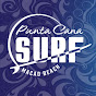 Punta Cana Surf Adventure logo