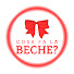hwVnwYcoJz0-channel-avatar-Cosa fa la Beche? 