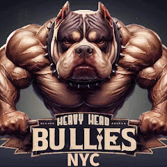 Heavy Head Bullies NYC