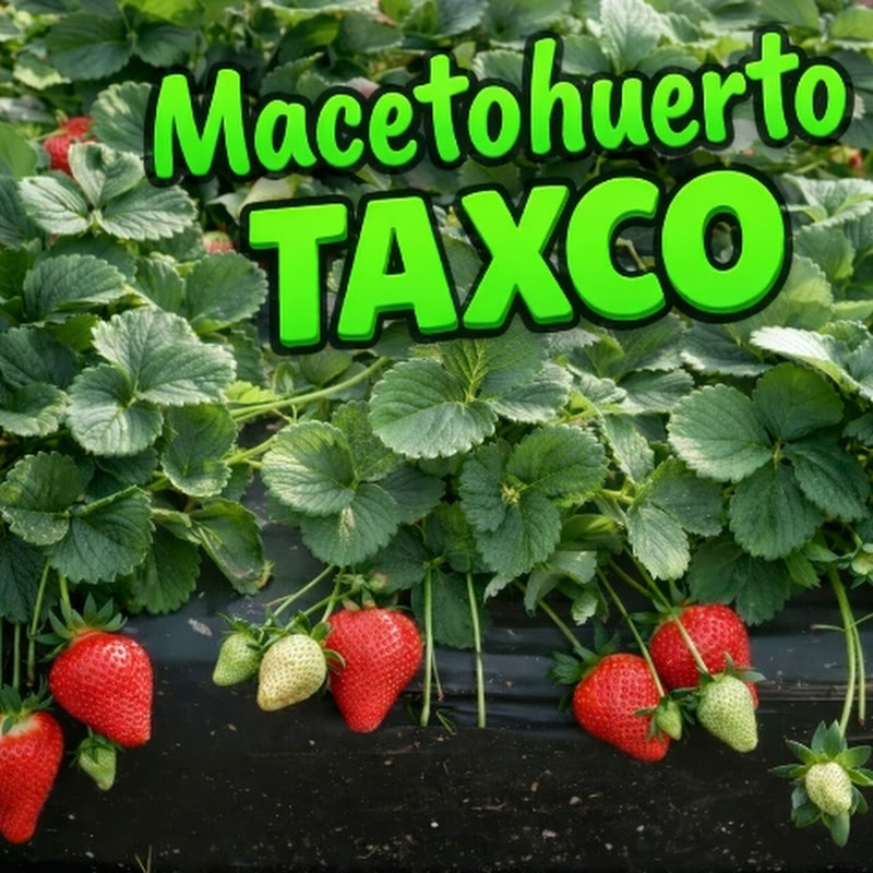 MacetoHuerto Taxco
