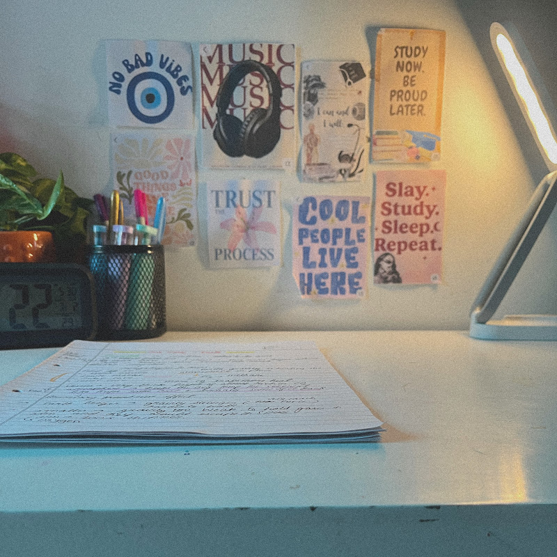 The Student in Progress 