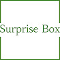 Surprise box logo