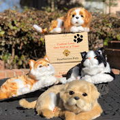 Pawfection Pets Official Channel 