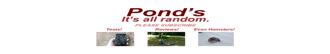 Pond's YouTube channel avatar