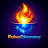 @PulseDiscovery