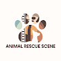 Animal Rescue Scene logo