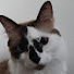 Channel Image