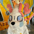 XnIh0ixZ72s-channel-avatar-PomPomPoffin