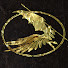 zqZgw4IG3GU-channel-avatar-Archangel Epics