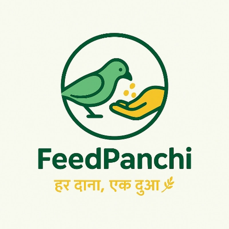 FeedPanchi