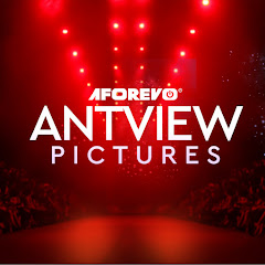ANTVIEW PICTURES net worth