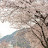 @송철-m7o