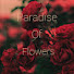 wFPeCx_UNTc-channel-avatar-Paradise of flowers