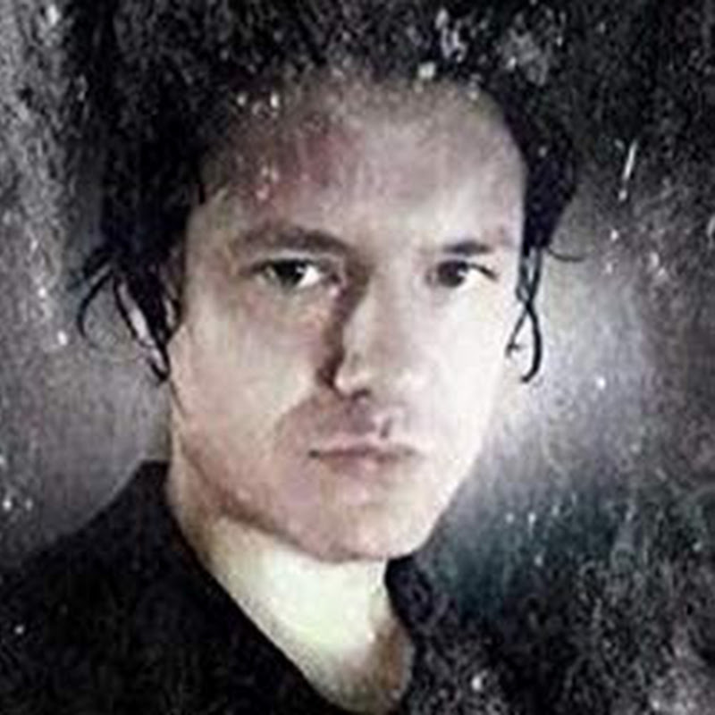 Wise Cat Noro Boris Logo