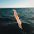 nDRahhQFr6M-channel-avatar-Your Psychonaut Bestie