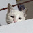 @BitsNBytes1010 Avatar