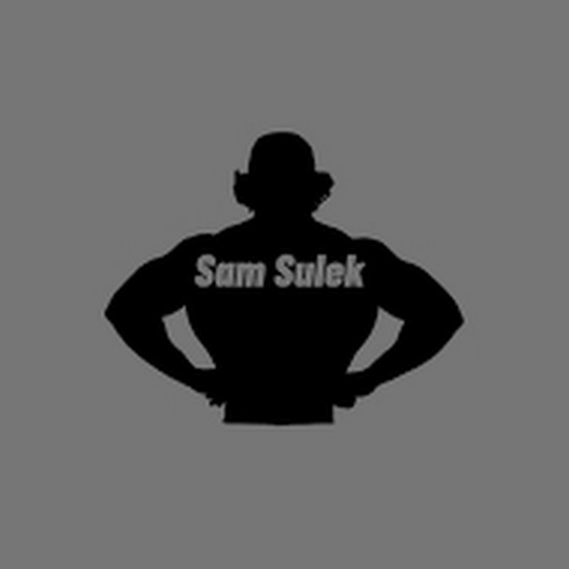 SamSulekVidss