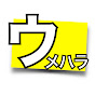 ウメハラ(梅原大吾)の動画【公認】