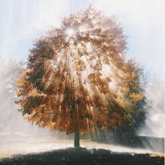 アディアイコン画像