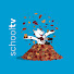 GxgAQ6GnW0g-channel-avatar-Schooltv