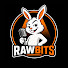 EkC5rvzke8c-channel-avatar-RawBits and 2 more