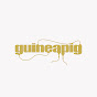 guineapigband YouTube Profile Photo