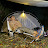 Calm Campsites