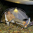 uGcGPev99Fg-channel-avatar-Calm Campsites