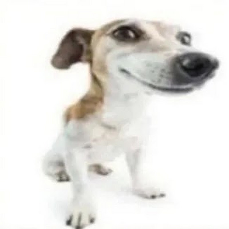 TheRealEsteban