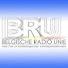 TSIukeF_zps-channel-avatar-Belgische Radio Unie