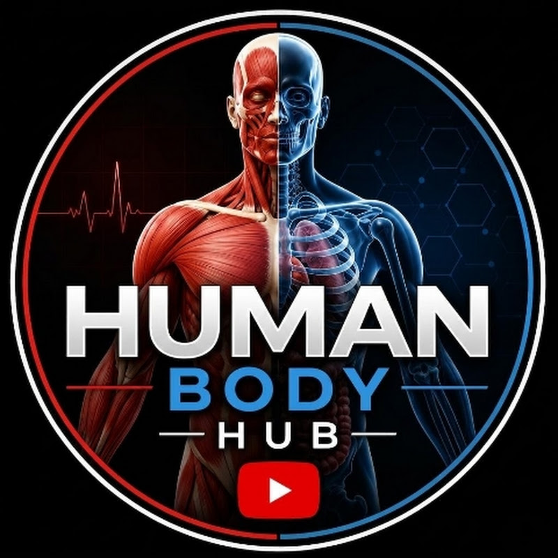 Human Body Hub