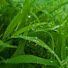 qMwkKhzSviM-channel-avatar-Banyu Cozy Rain