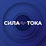 8XcJeercPFs-channel-avatar-Сила тока