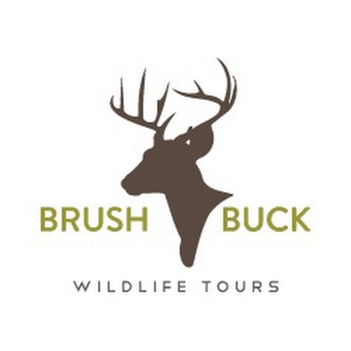 BrushBuck Wildlife Tours