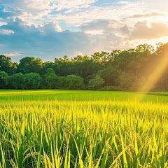 亦乐【盲派八字】アイコン画像