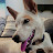 @Tebsteroni's avatar