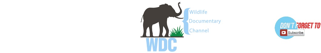 Wildlife Documentary Channel WDC YouTube channel avatar