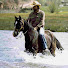 4nqQ_DvThzM-channel-avatar-Len Brown's Black Mesa Custom Saddles