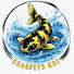 mqgOcICzsFQ-channel-avatar-Sharpey's Koi