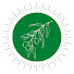 ubADt0Hottk-channel-avatar-Zitouna Life