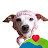 @Naturelovezz's avatar