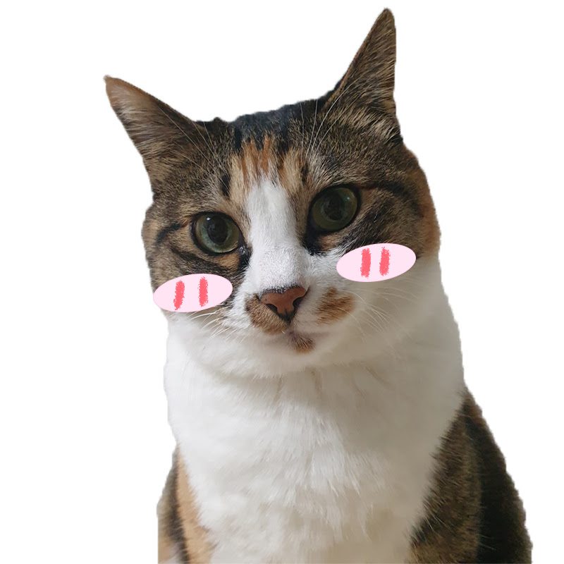 잠보asmr icon