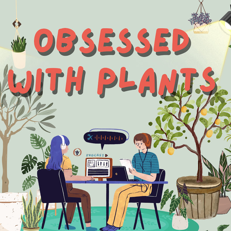 Obsessed_With_plants
